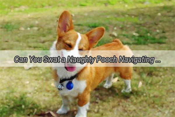 Can You Swat a Naughty Pooch Navigating the Line Between discipline and Love for Your Furry Friend